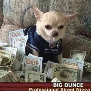 Meet your Posher, Stephen